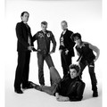 Die Toten Hosen