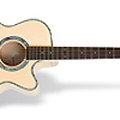Performer SE