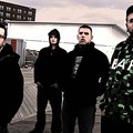 The Acacia Strain