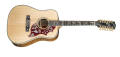 Gibson Acoustic Hummingbird Custom 12-String