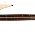 GWB1005 