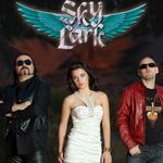 Skylark