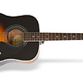 PRO-1 Plus Acoustic