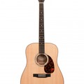 Larrivee D-09W