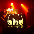 Blind Stereo