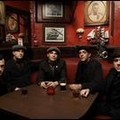 Street Dogs