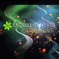 EXCELLENT NEXUS