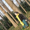 魏勤