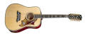 Gibson Acoustic Doves in Flight 12 String