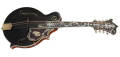 Gibson Custom 120th Anniversary Mandolin Set