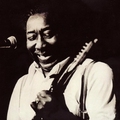 Muddy Waters(马迪·沃特斯)