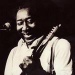 Muddy Waters
