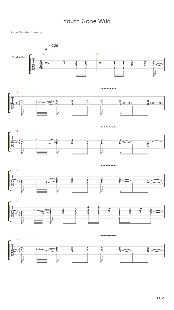 Youth Gone Wild吉他谱