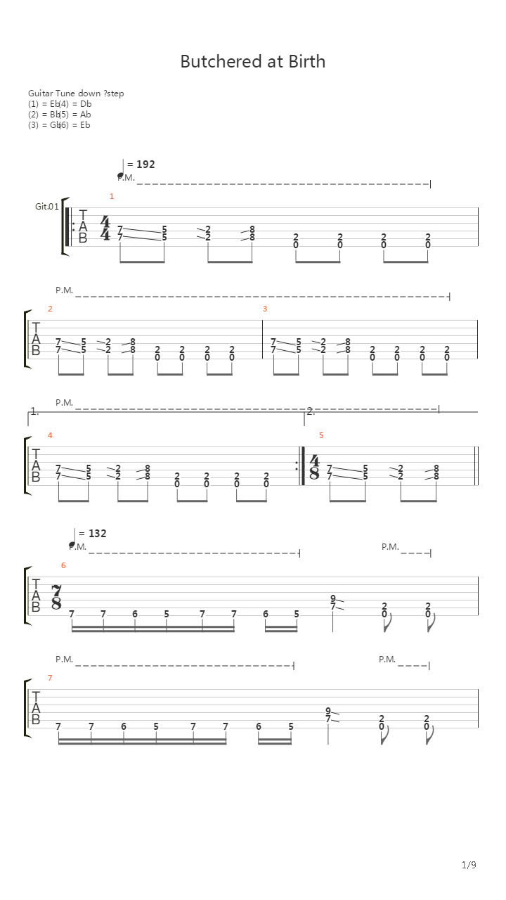 Butchered At Birth吉他谱