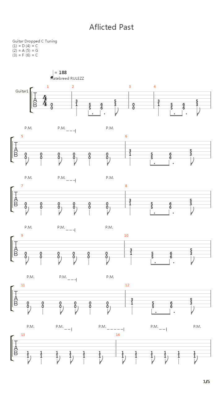 Afflicted Past吉他谱