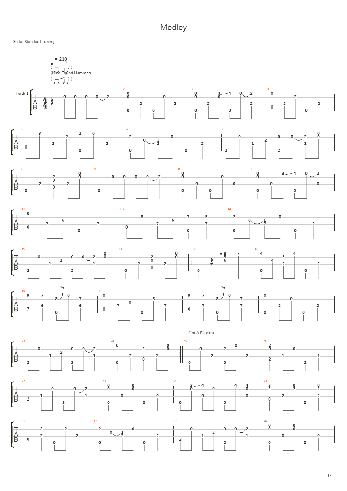 Medley Nine Pound Hammer - Im A Pilgrim - Steel Guitar Rag吉他谱