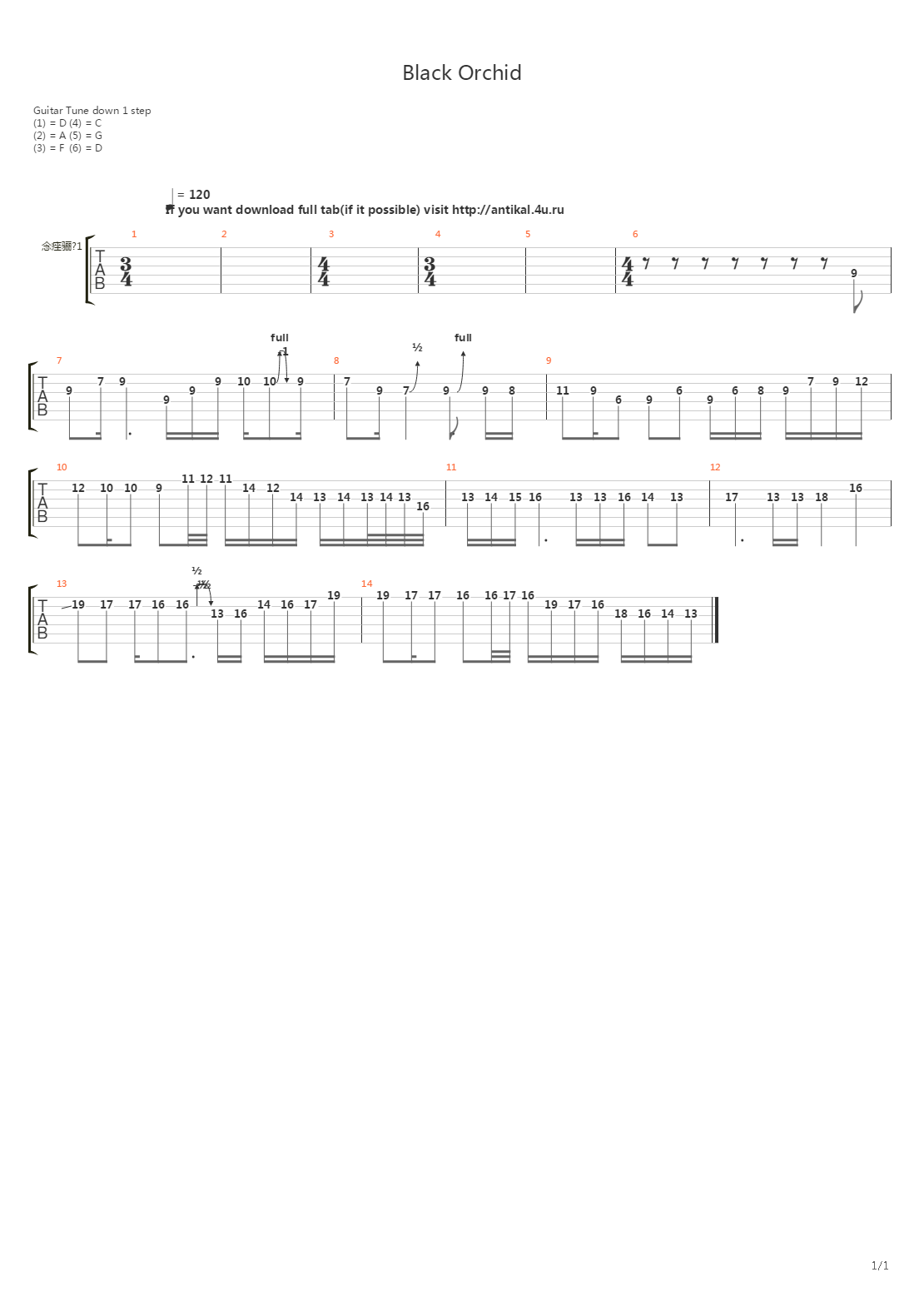 Black Orchid吉他谱