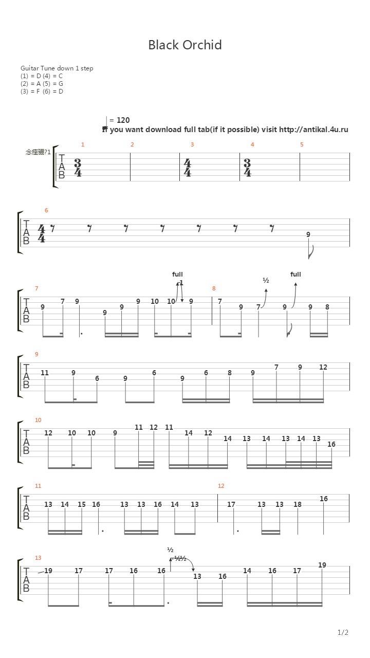 Black Orchid吉他谱
