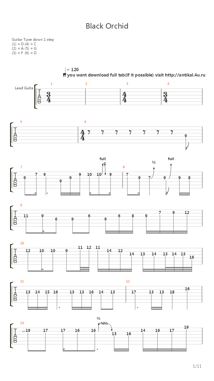 Black Orchid吉他谱