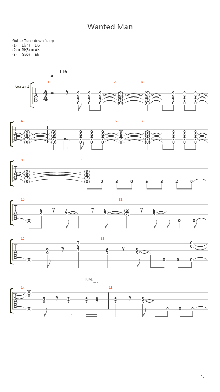 Wanted Man吉他谱
