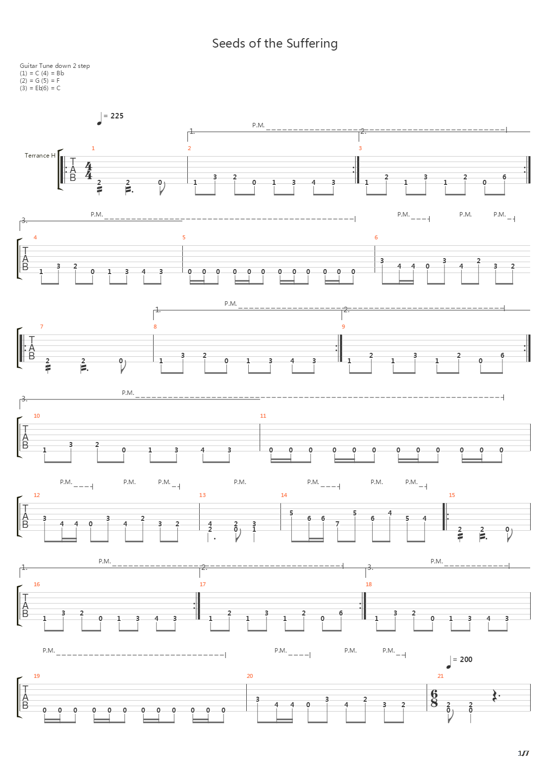 Seeds Of The Suffering吉他谱