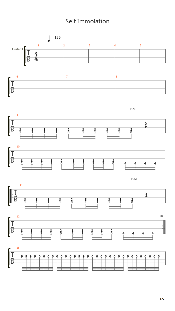 Self Immolation吉他谱