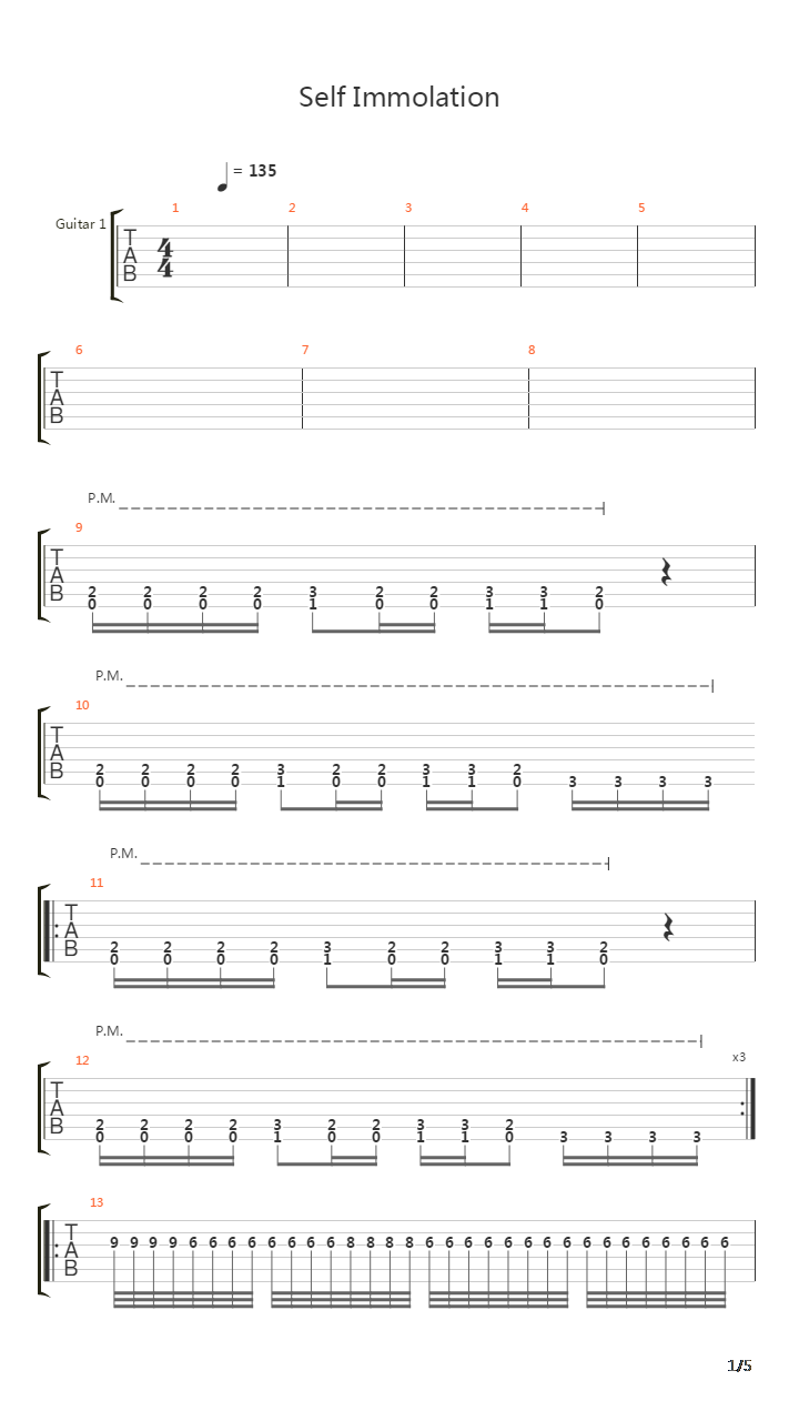 Self Immolation吉他谱