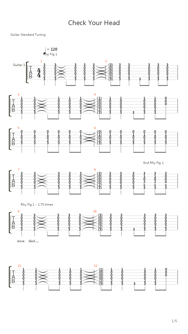 Check Your Head吉他谱