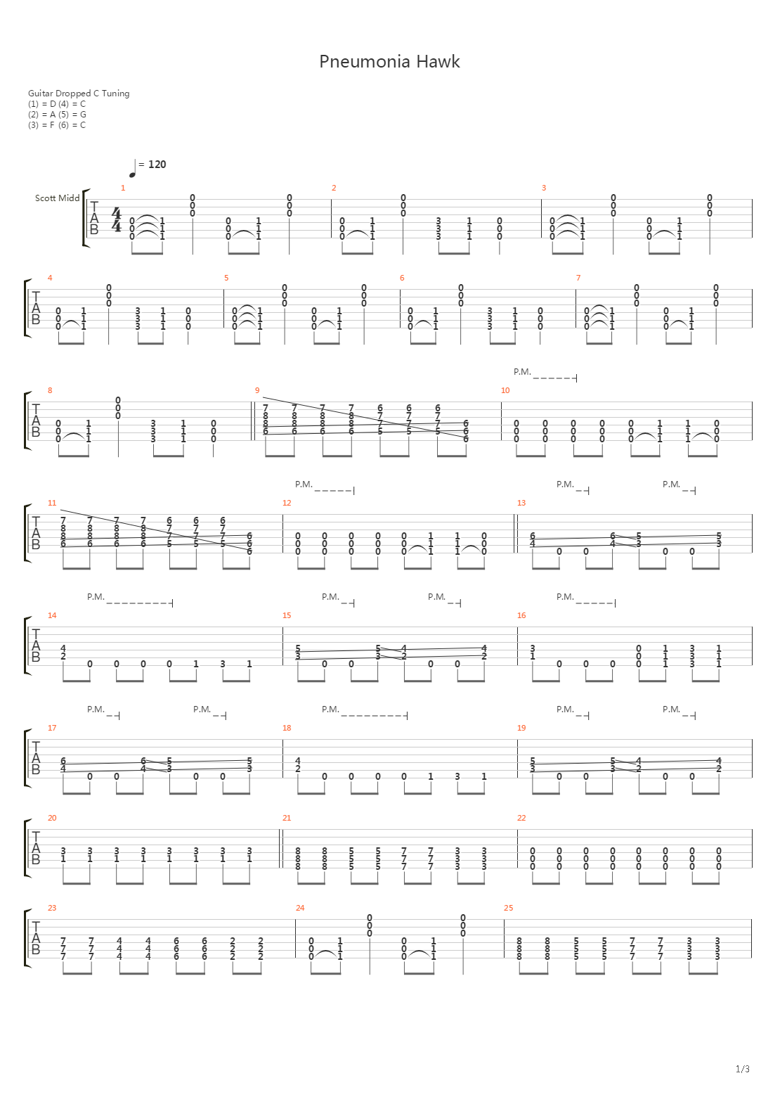 Pneumonia Hawk吉他谱