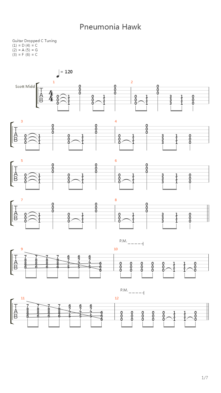 Pneumonia Hawk吉他谱