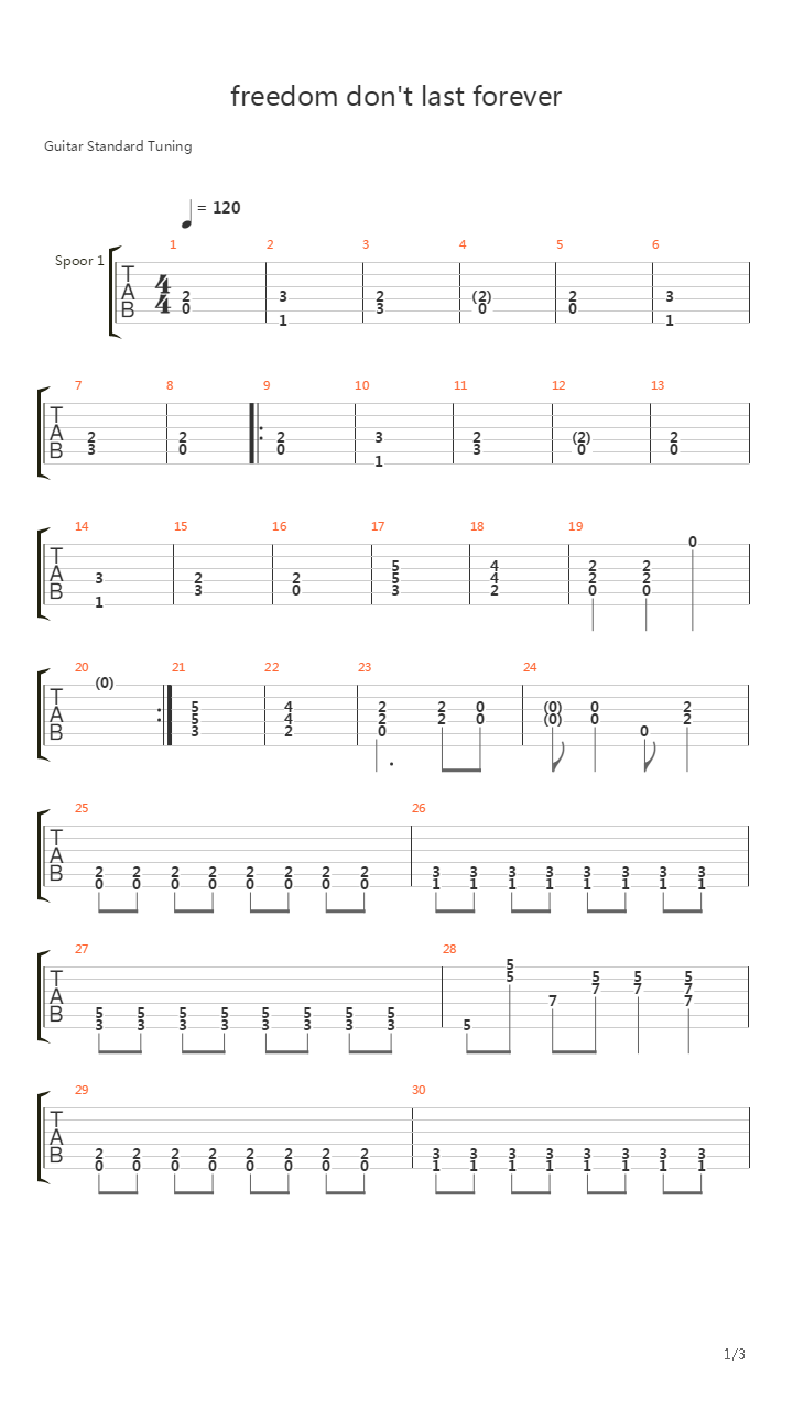 Freedom Dont Last Forever吉他谱
