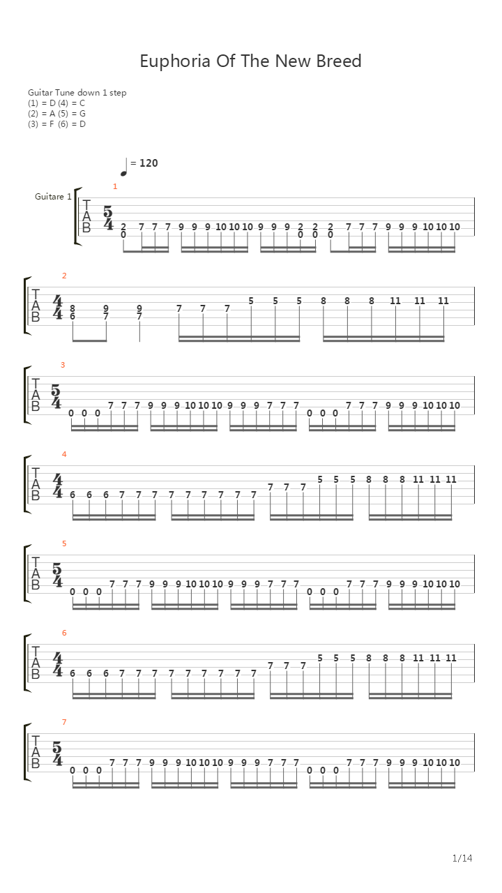 Euphoria Of The New Breed吉他谱
