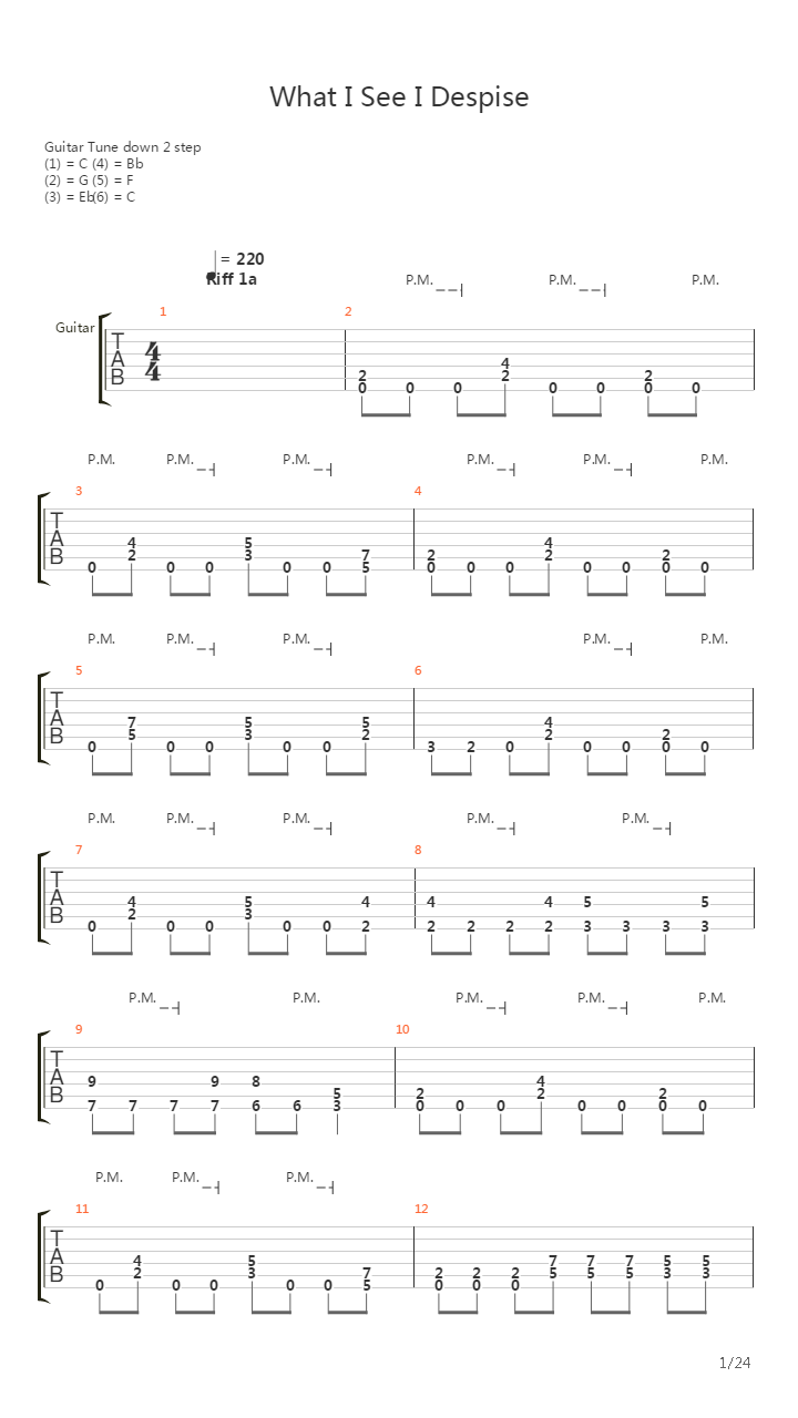 What I See I Despise吉他谱