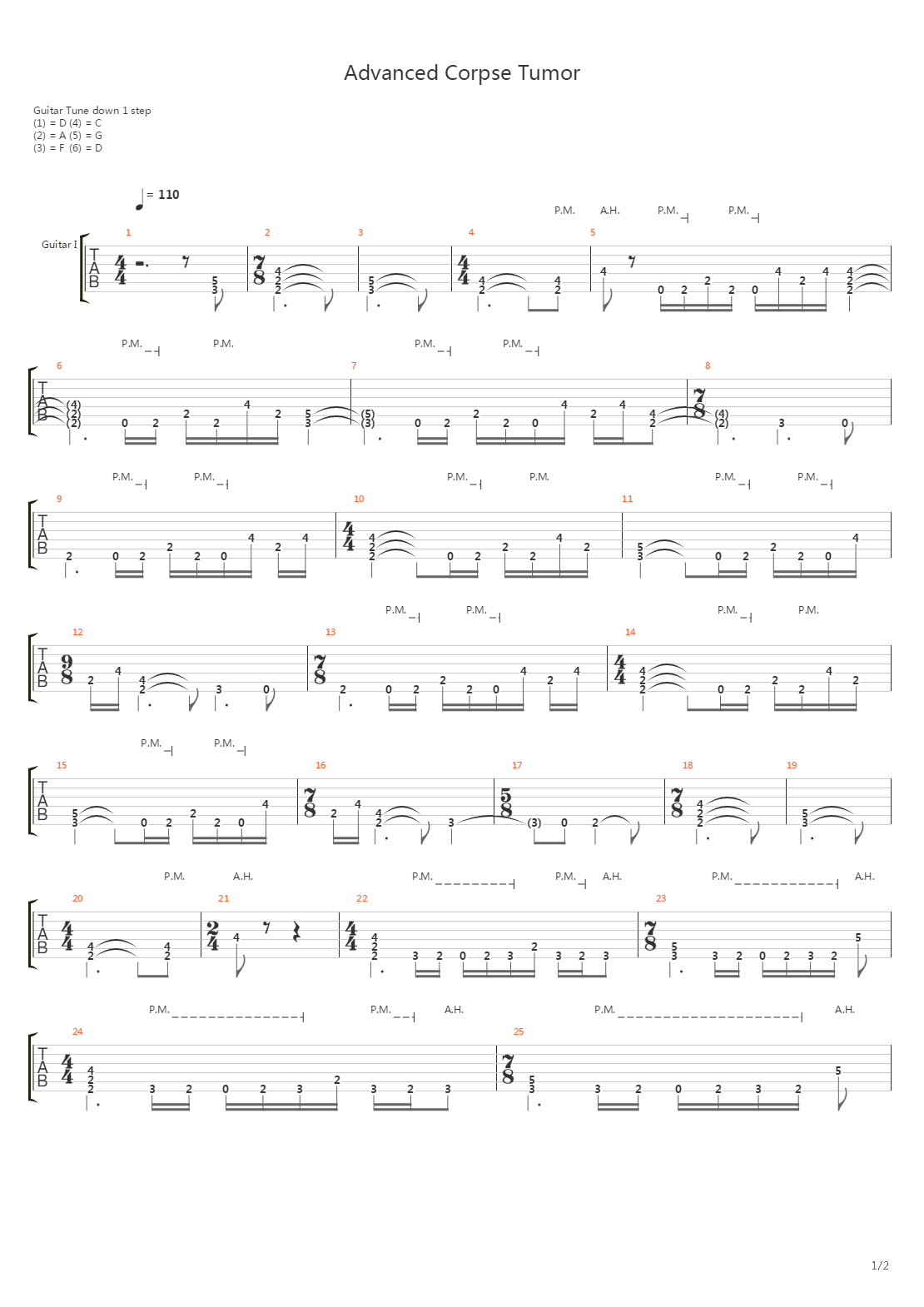 Advanced Corpse Tumor吉他谱