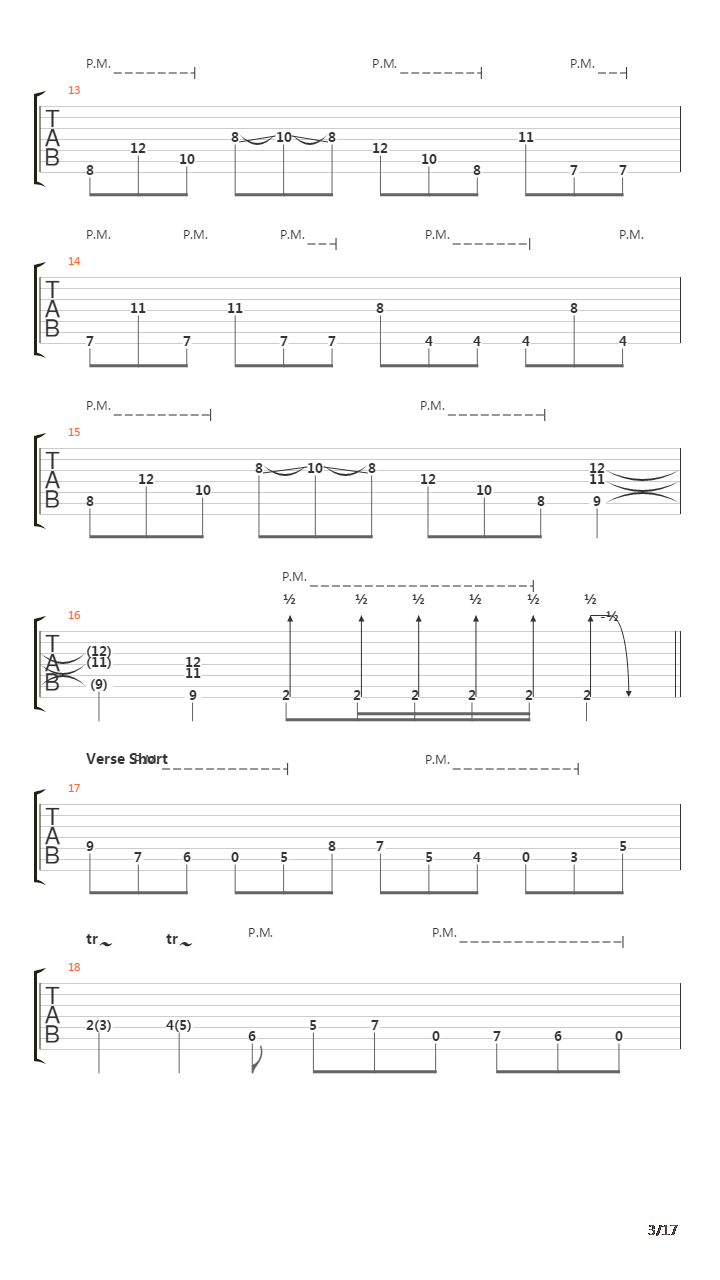 Procession Through Flesh吉他谱