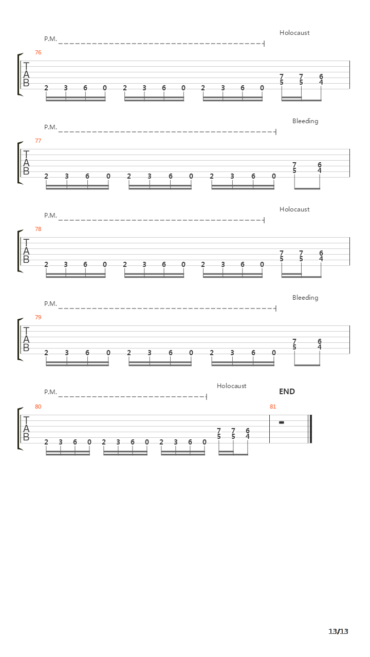 Bleeding Holocaust吉他谱