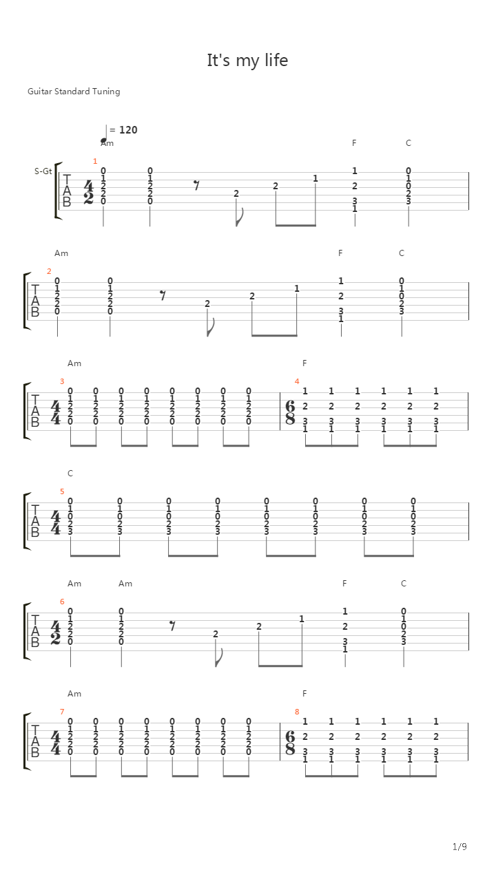 It's My Life (Accostic)吉他谱