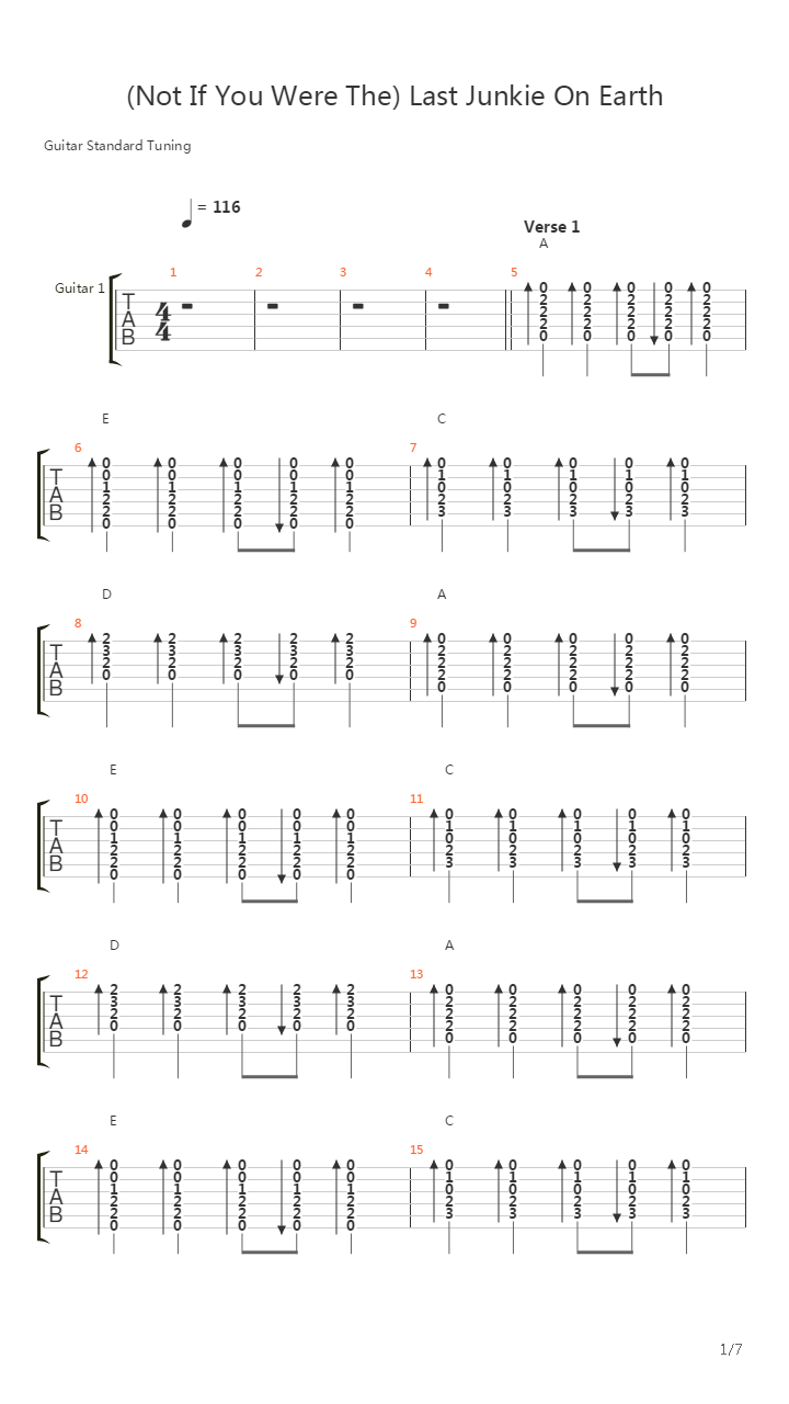 Last Junkie On Earth吉他谱