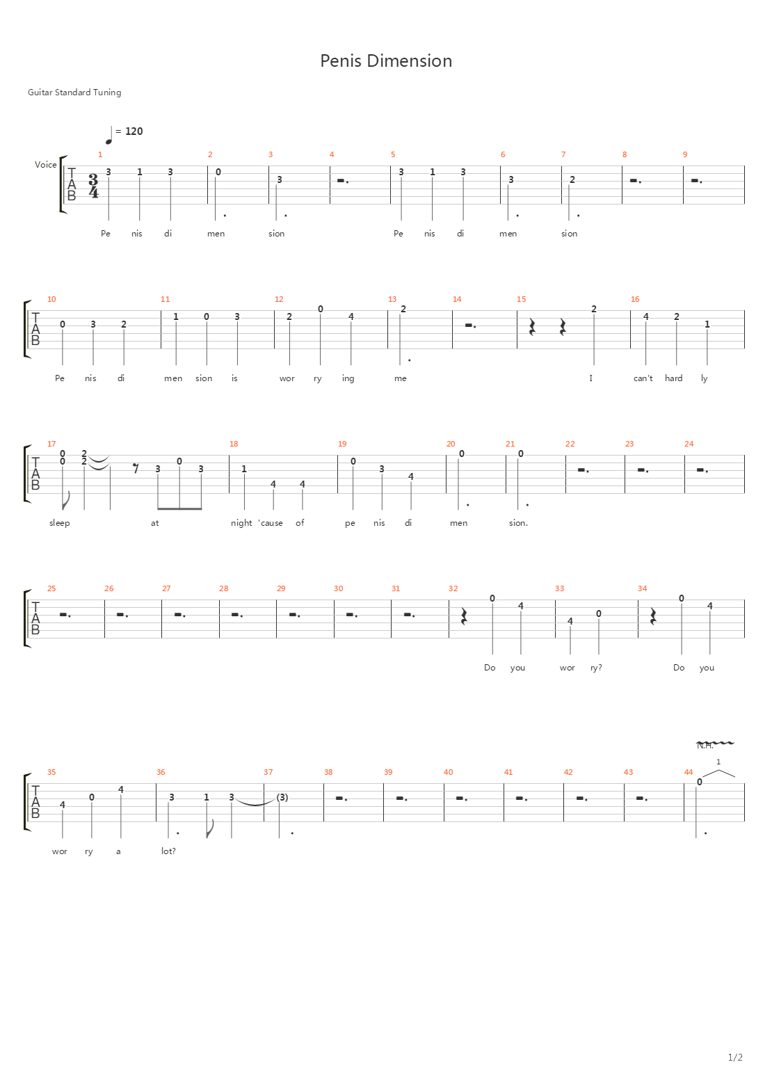 Penis Dimension吉他谱