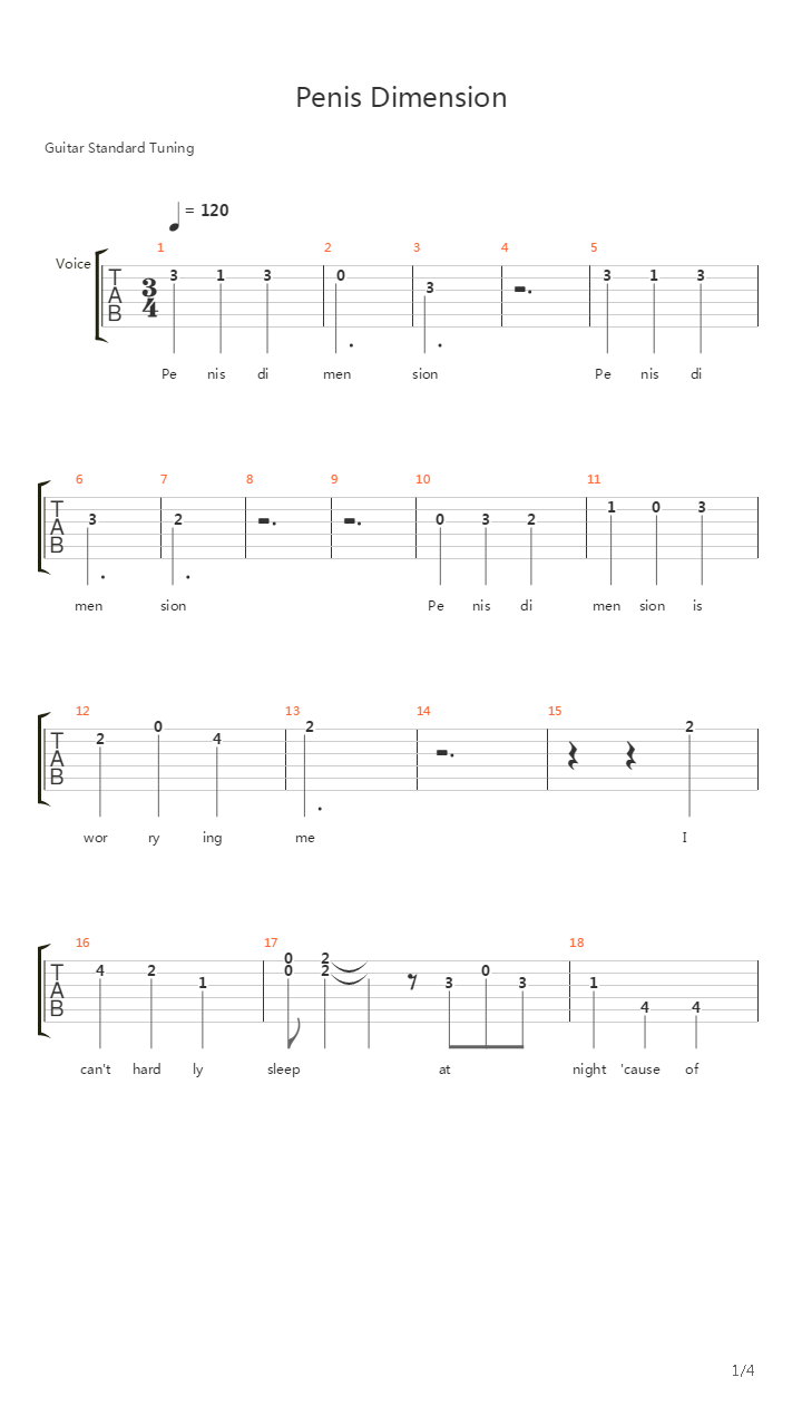 Penis Dimension吉他谱