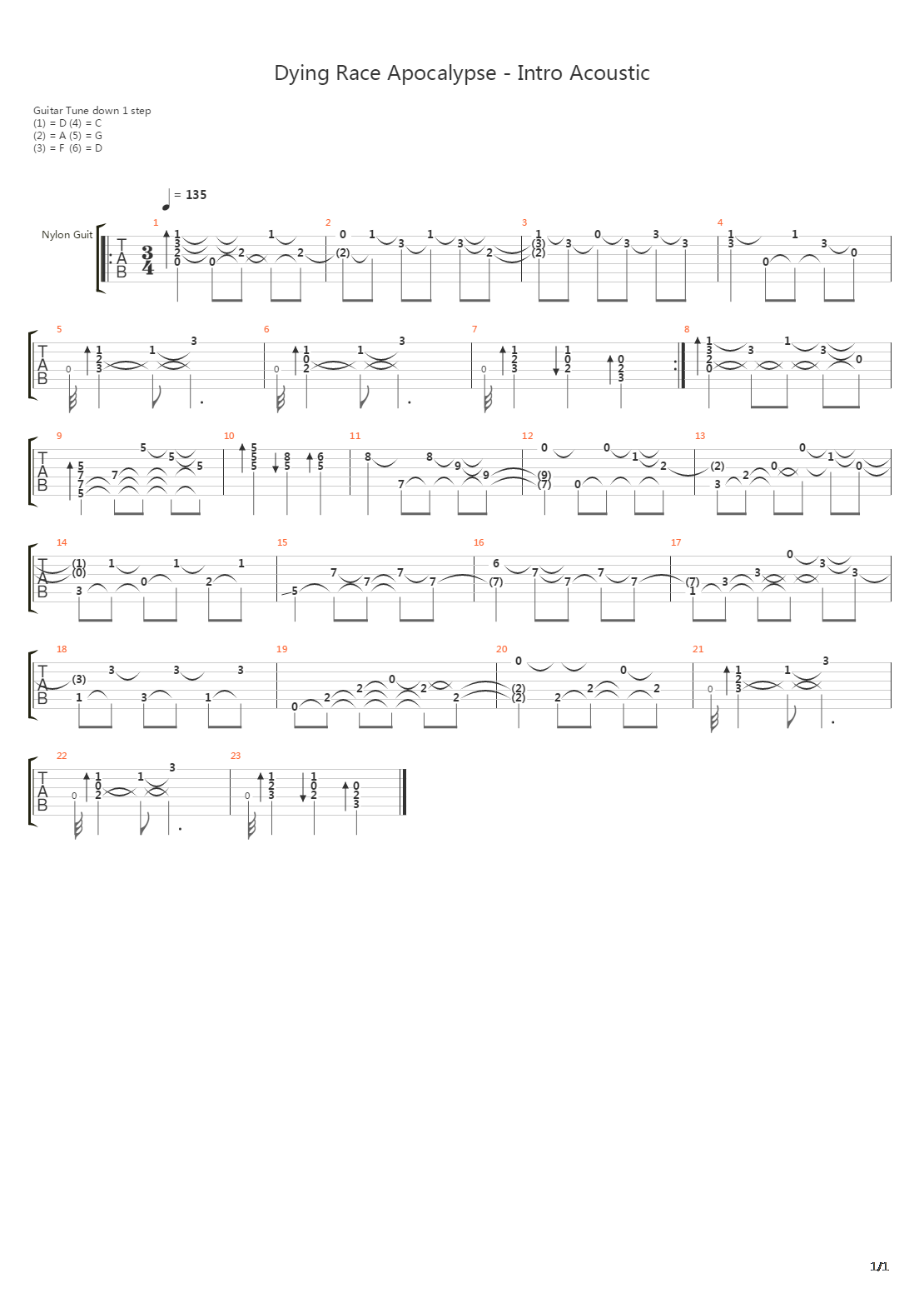 Dying Race Apocalypce - Intro Acoustic吉他谱