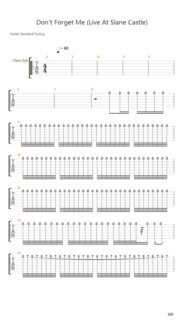 Don't Forget Me (Live At Slane)吉他谱