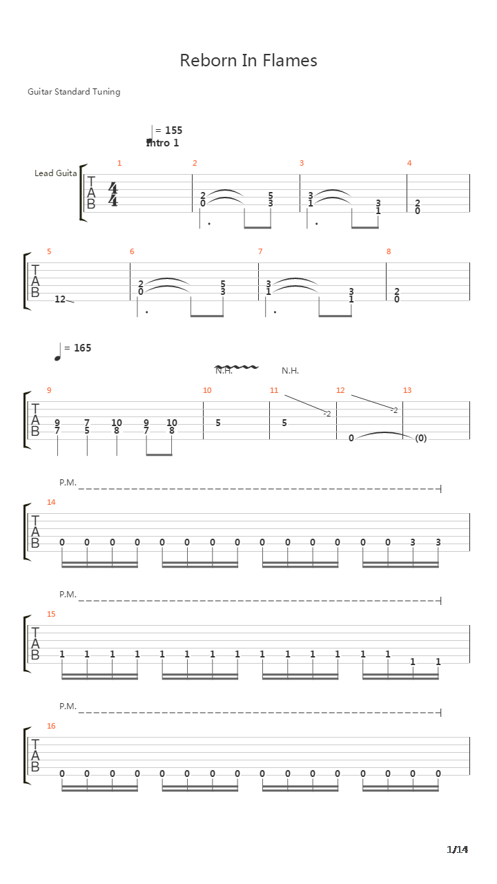 Reborn In Flames吉他谱