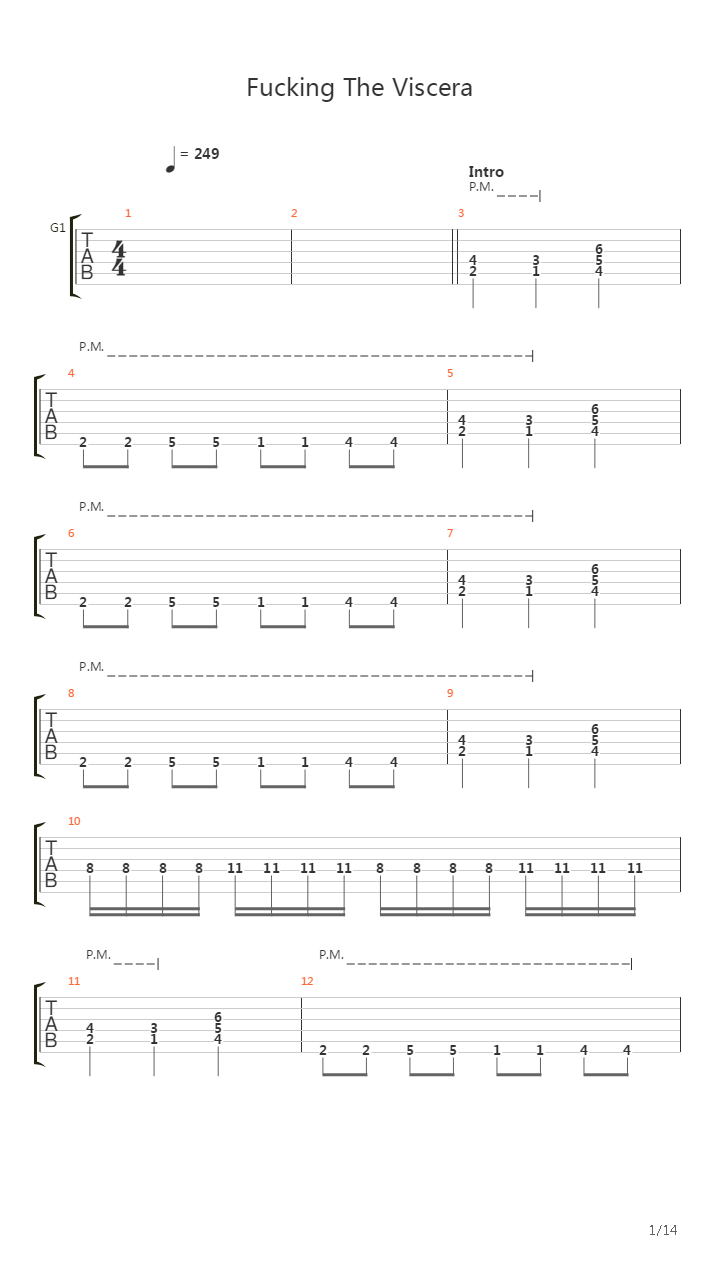 Fucking The Viscera吉他谱