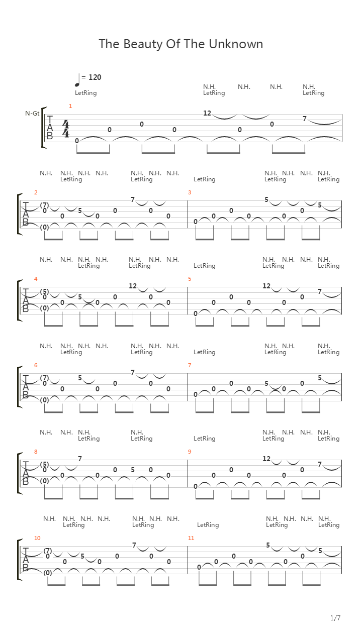The Beauty Of The Unknown吉他谱