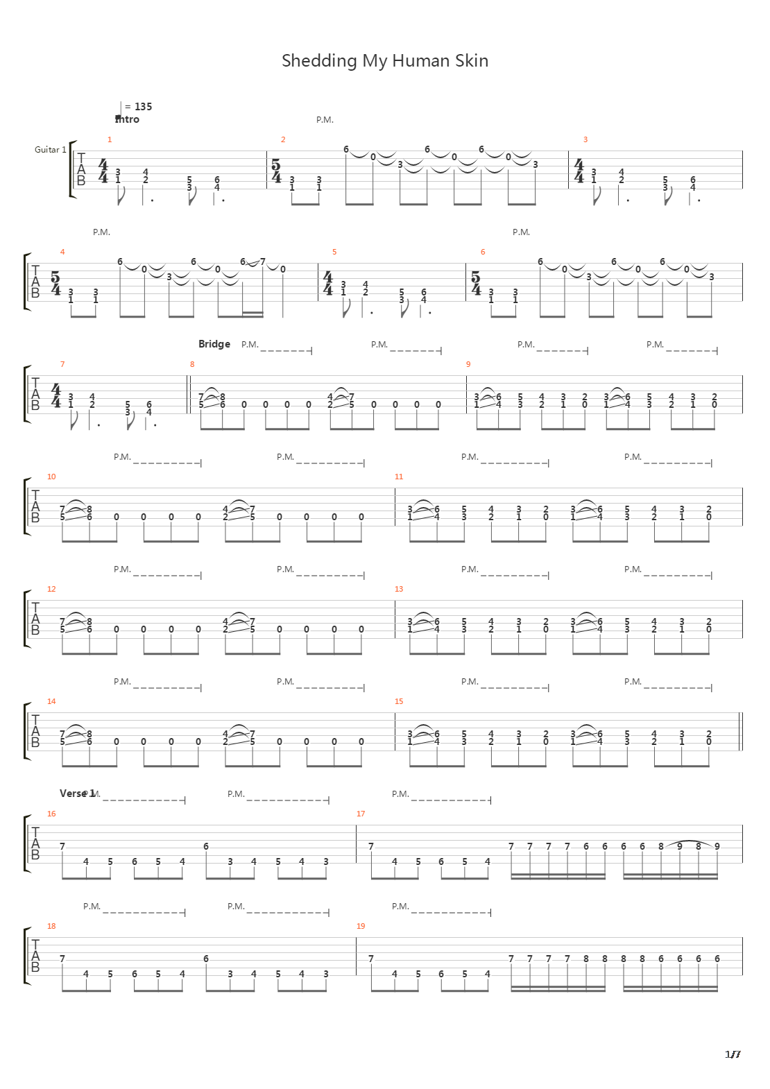 Shedding My Human Skin吉他谱