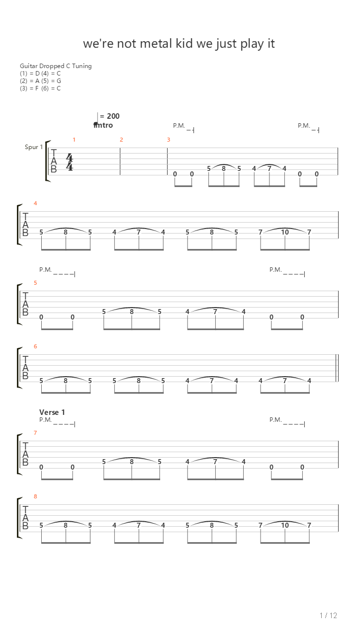 Were Not Metal Kid We Just Play It吉他谱