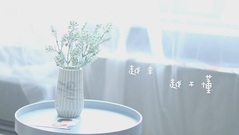 网友自制演绎《越来越不懂》MV