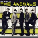 The Most of the Animals