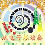 双电子琴演奏(1)